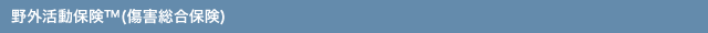 野外活動保険&trade;(傷害総合保険)
